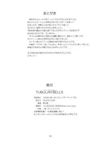 (C76) [BLACK DOG (Kuroinu Juu)] Tubular Bells (Bishoujo Senshi Sailor Moon)