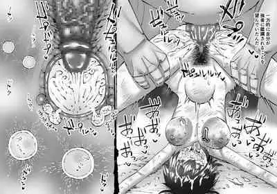 Buta Ningen Piggle no Haramase Shuuyousho