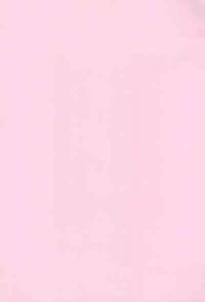 Chicchakute Ecchi Hon 8