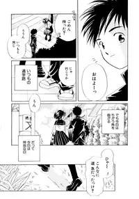 [Nagareboshi Hikaru] Tokubetsu na Hi