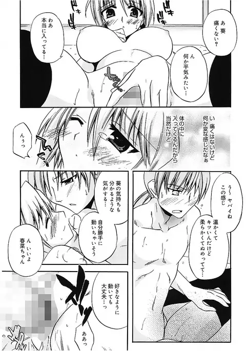 Takayama Jinja no Haruka-san