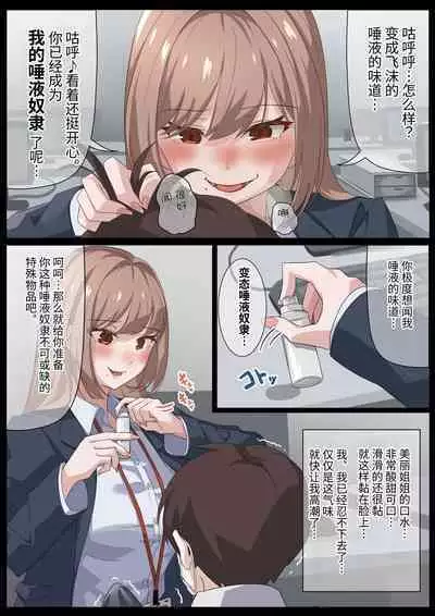 Birei sama no tsuba seme