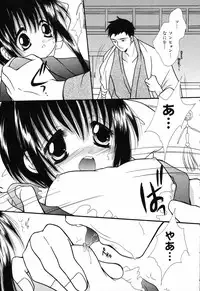 [Anthology] Pure Petit Vol.17