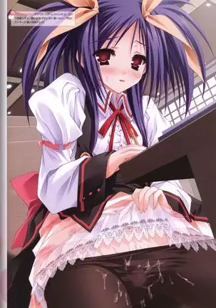 Tayutama -It's happy days- Visual Fanbook