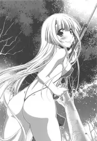 (C85) [Chinpudo (Marui)] higuma-otoshi Tsuigeki (Muv-Luv Alternative Total Eclipse)