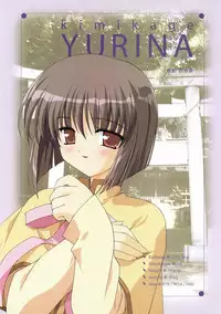 Canvas Visual Fan Book