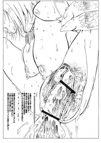 (ComiComi9) [Sago-Jou (Seura Isago)] May：lish #2 (Romancing SaGa -Minstrel Song-)