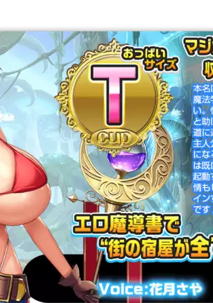 Motto! Haramase! Honoo no Oppai Isekai Chou Ero ♥ Succubus Gakuen!