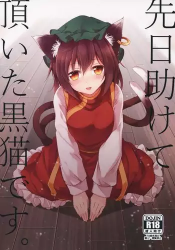 Senjitsu Tasukete Itadaita Kuroneko desu. | I'm the Black Cat You Helped Out the Other Day.