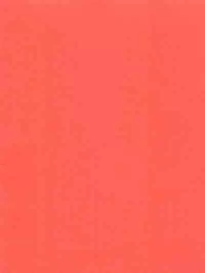 Damena otona ni wa narimasen