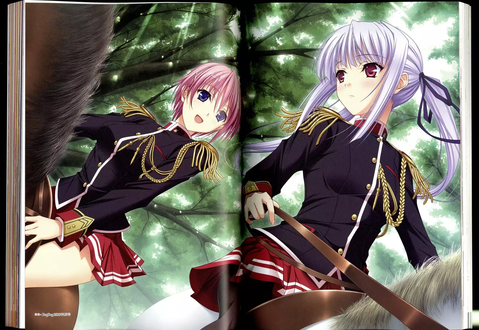 Walkure Romanze Visual Fanbook