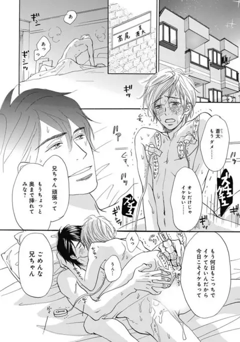 Ore wa Kawaii Ototo to