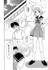 [Donkey] Chocotto Ne