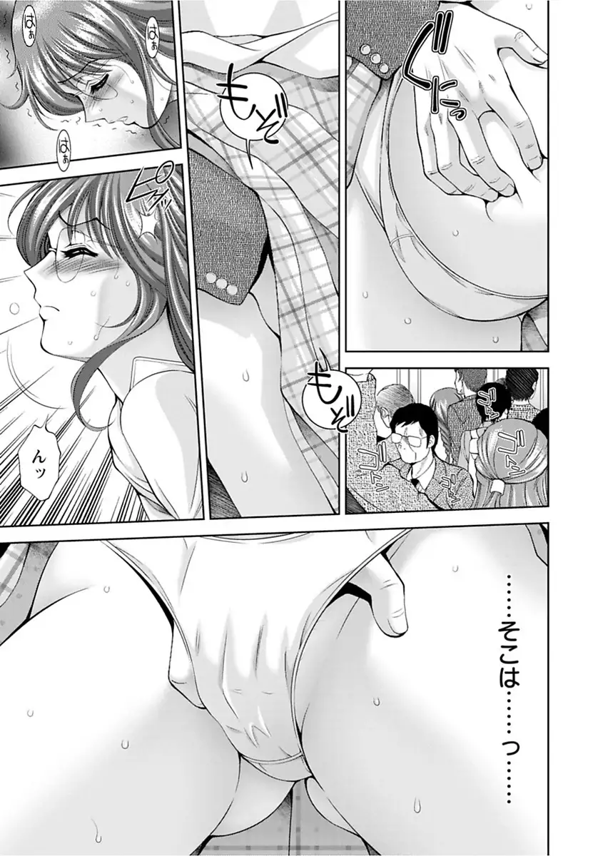 Bi Maso Festa - Maguwai no Mesu Niku