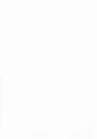 (C91) [Okina Keikaku (Shiwasu no Okina)] Gimai Himari | My Stepsister Himari [English]