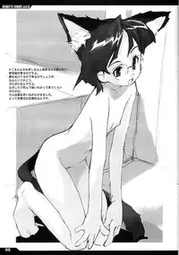 (C61) [Peace Maker (E=MC2)] JUNKY'S JUNKS Vol. 6