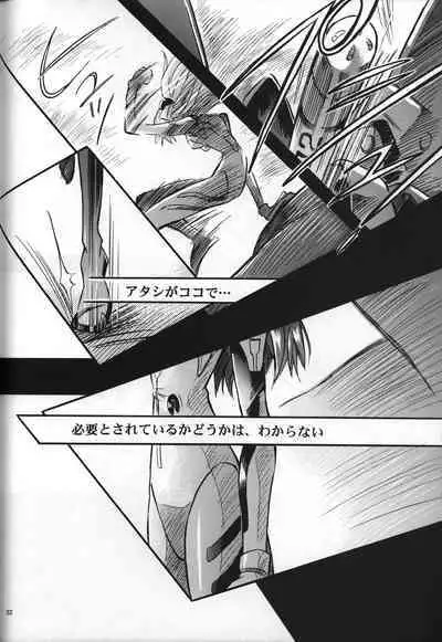 <Shinyaku> neon genesis document G