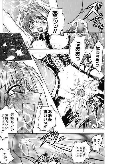 [MARO] Contact [Digital]