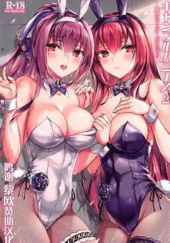 (C99) [Akaneiro (Rimiki, Yakifugu)] Gamble Bunnies 2 -Shouri wa Master dake no Mono- (Fate/Grand Order) [Chinese] [??x??????]