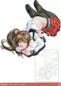 Bible Black Box Set (Artbook)