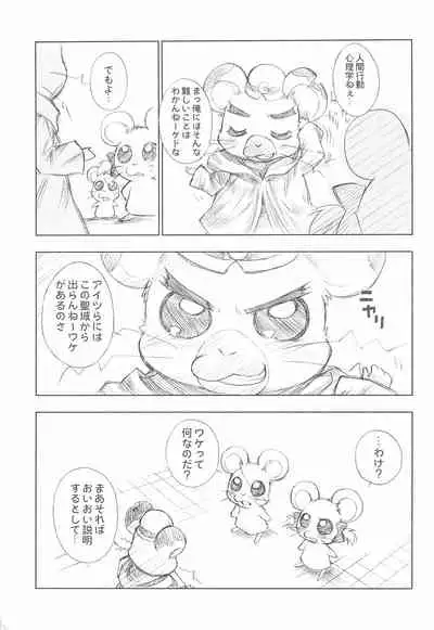 BATTLE FOR THE PLANET OF THE HAMS