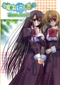 Otome wa boku ni koi shiteru Visual Fanbook (Otoboku)