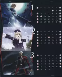 Fate/stay night Premium FanBook