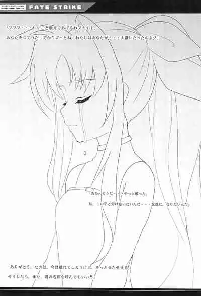 FATE STRIKE