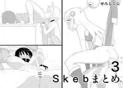 Skeb Matome 3