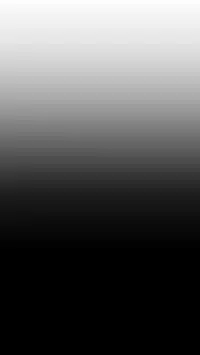 姐妹丼饭 Sister rice Chinese Rsiky