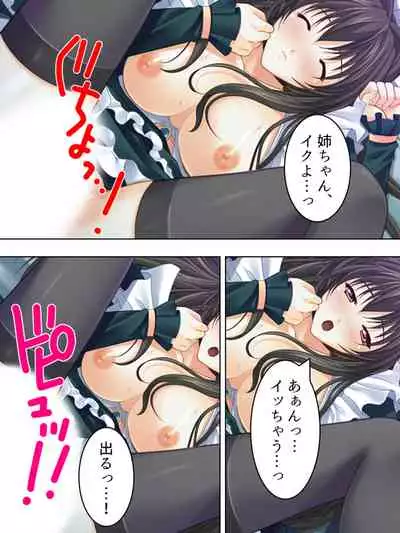 Nee-chan wa Boku no Kokan no Sewagakari ～Konna Seikatsu, Yamerarenai!～