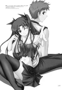 (C70) [SEITOKAISHITSU (Akimoto Dai)] THE SCARLET INVADER. (Fate/stay night)