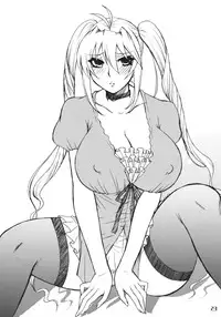 (C76) [Honey Bump (Nakatsugawa Minoru)] Tsuki no Tennensui (Sekirei)