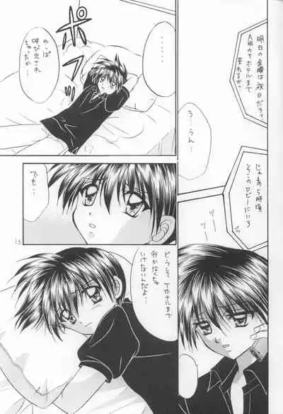 Bishounen Kinbaku Nisshi VIII