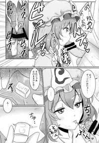 (Reitaisai 11) [Hakuginmokusei (Poshi)] Onegai Yuyuko-sama (Touhou Project)