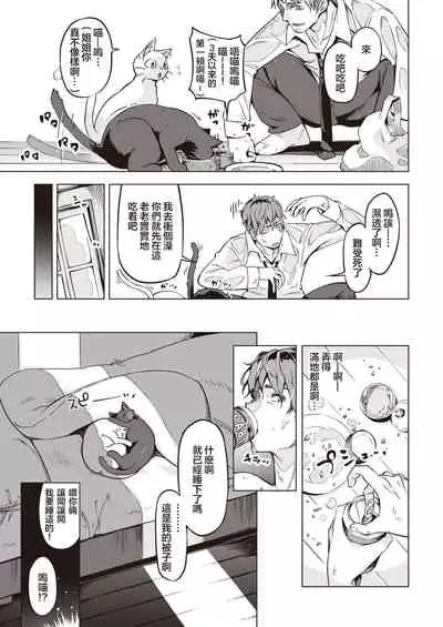 Oshikake Nyanko | 不请自来的小猫