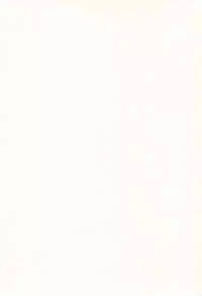 (C57) [multi★task! (Takeyabu)] ECO Millennium!! (Ecoko)