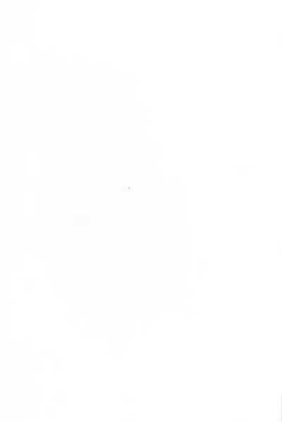 Ryousai Oneshota Tamamo-chan