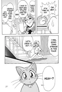 (C62) [Thirty Saver Street 2D Shooting (Maki Hideto, Sawara Kazumitsu)] Silent Saturn SS vol. 4 (Sailor Moon) [English]