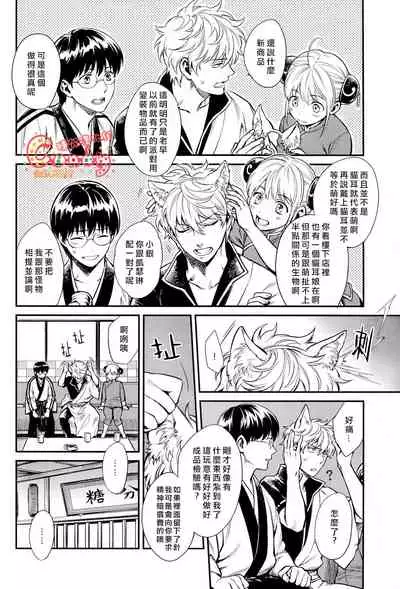 (HaruCC19) [3745HOUSE (MIkami Takeru)] Like cat and dog (Gintama) [Chinese] [糖分漢化組]
