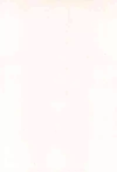 Chicchakute Ecchi Hon 2