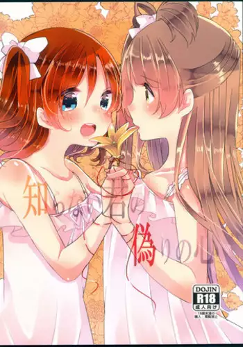 (Bokura no Love Live! 11) [Hoshiiromaron (Kanao)] Shiranai Kimi no Itsuwari no Kokoro (Love Live!)[Chinese][加勒比海监个人汉化]