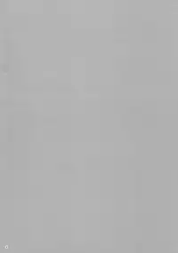 (C76) [r.i.s factory (Ruschuto)] DOLCE CASTEL (Zero no Tsukaima)