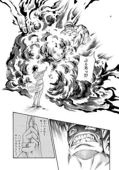 Araxa Ninpo-Cho Vol.5