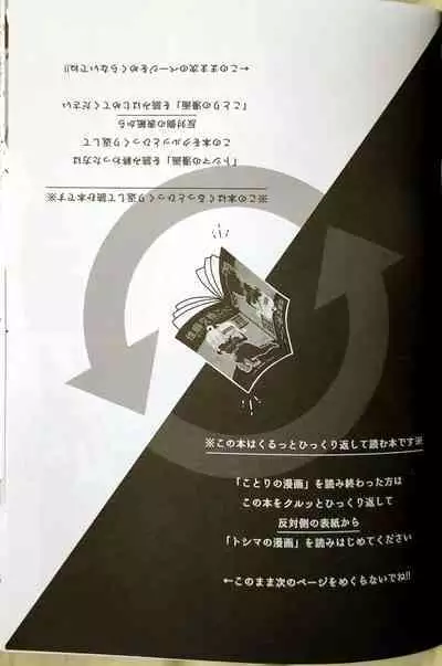 CherryTart (Anna Kotori) seiheki kōkangokko/itamen no o heya (Fullmetal Alchemist)