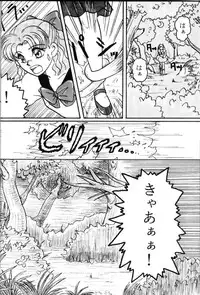 (story) Scream (Sailor Moon)