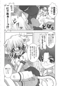 [Shigunyan] PuniPuni