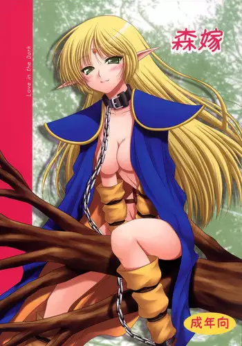 [Ai Wa Kurayami (Marui Ryuu)] Moriyome (Record of Lodoss War) [Digital]