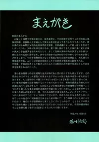 (C75) [Circle Taihei-Tengoku (Horikawa Gorou)] Niku no Rakuin Chuukan