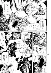 [NHK] Project X (Dead or Alive)